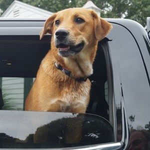 Meet your Posher, Mark